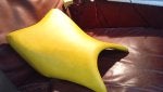 Plant pear Petal Tints and shades Flower